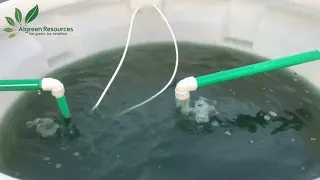 Fully Automated Spirulina Farm in Bangladesh - Algreen Resources