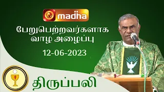 🔴 LIVE 12 JUNE 2023 Holy Mass in Tamil 06:00 PM (Evening Mass) | Madha TV
