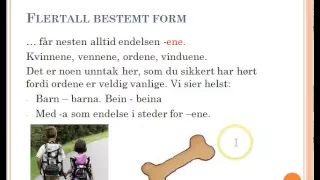 Norsk grammatikk - Ordklasser del 1: Substantiv