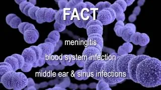 Pneumonia Fact File 2014 SD