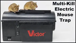 The Victor Multi-Kill Electric Mousetrap - Full Review. Mousetrap Monday