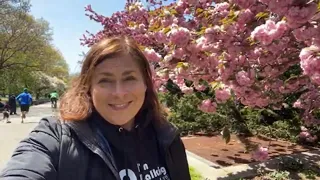 NYC Live 🗽 Beautiful Blossoms and a Walk in Riverside Park