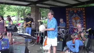 Dizzy - Tommy Roe - Neighborhood Picnic Band 2014