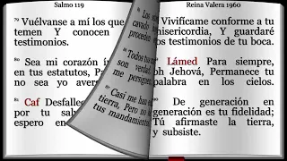 La Palabra de Dios Salmo Capitulo 119  (ESTE LIBRO NO SERA VENDIDO)       Siervo de Jesucristo