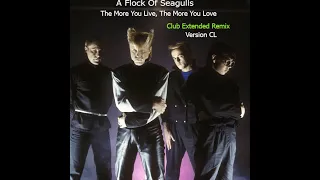 A Flock Of Seagulls The More You Live, The More You Love  (Club Extended Remix)  Solo Audio