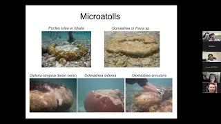 PAGES 10th webinar: "(Paleo)-Earthquake and -Tsunami Science"