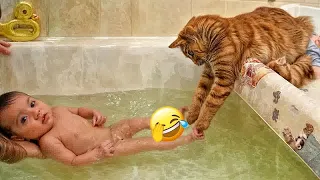 Best Funny Dogs and Cats Videos 😻🐶 Funniest Animal videos 2024😎