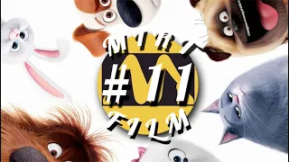 MIRTFILM #11 (18+) Ev Heyvanları Mırt Dublaj / Cavidan Orucov-dan
