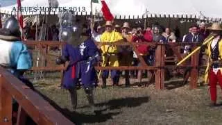 "Battle of the Nations" - 2013.  Aigues-Mortes, France. Italy vs Argentina 5x5 Day2