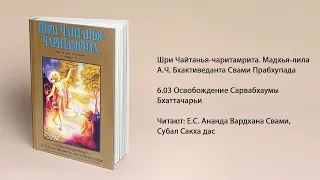 6.03 Освобождение Сарвабхаумы Бхаттачарьи. Мадхья-лила. Шри Чайтанья-чаритамрита. Прабхупада