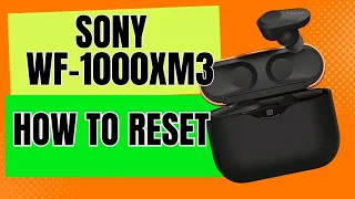 How to Reset Sony WF-1000XM3 WF1000XM Wireless Earbuds