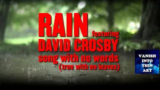 Rain / "Song with No Words (Tree with No Leaves)" - David Crosby
