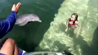 Вот это да! Дельфин катает девочку..