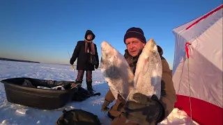 Глухозимье.Белоярское водохранилище.16 февраля 2024 г.Рыба отказывается клевать.