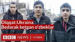 Диққат Украина: Бедарак йўқолган ўзбекистонликлар тақдири нима бўлди? BBC News O'zbek