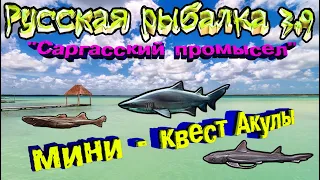 Русская рыбалка 3.9 Сарггаский промысел.  Акулы.