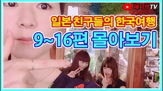 일본 친구들의 한국여행 9 -16편 몰아 보기/어서와 한국은 처음이지 컨셉/애니악TV