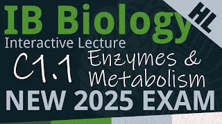 NEW 2025 EXAM - IB Biology C1.1 - Enzymes & Metabolism [AHL] - Interactive Lecture