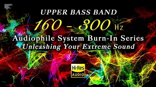 Extreme Burn-In: 160 - 300 Hz (Low Mid Band) | odear