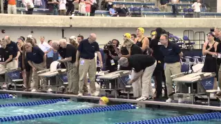Cal Women's Swimming & Diving: 2015 National Champions!