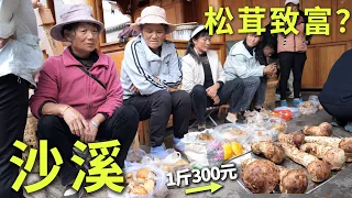 走进云南沙溪长乐村，村民收入靠上山采菌子，热情的阿姐带我去她家做客！Unveil Remote Villages Where Villagers Sell Fungi for Living！