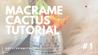 Macrame Cactus Tutorial