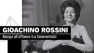 Maria Callas: "Nacqui all'affano" from "La Cenerentola" | NDR Elbphilharmonie Orchestra