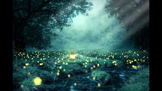 Little Souls of Light in The Forest--Calm Peace with Bruno Gröning--528 Hz Music, Mind relaxation!