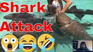 Scary Shark Attack - 25 Unbelievable Moments Caught On Camera