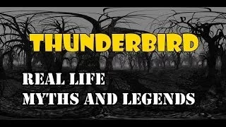 Real Life Myths and Legends-Thunderbird [HD]