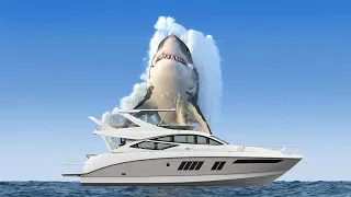 Giant Great White Takes It ALL | Shark Attack Video Series