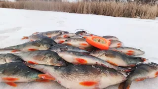 🎣  Ловля окуня 🐟 на Безмотылку. Гвоздекубик, сделал рыбалку. Зимняя рыбалка 2022.