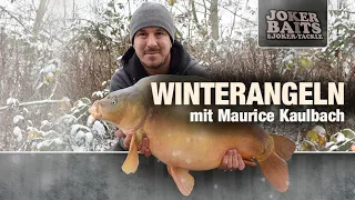 Karpfenangeln im Winter - mit Maurice Kaulbach