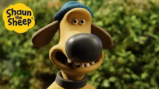 Shaun the Sheep 🐑 Bitzer on Holiday! - Cartoons for Kids 🐑 Full Episodes Compilation [1 hour]