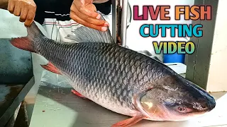 LIVE ROHU FISH CUTTING SUPER FAST CUTTING VIDEO HOW TO FISH CUTTING VIDEO 🐠🐠