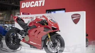 Ducati Panigale V4r | First look review from KNOX