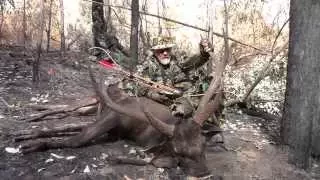 Sambar Deer Bow Hunting