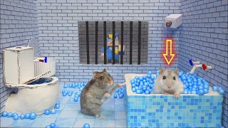 Hamster Escape: Prison Maze 🛑Live Stream