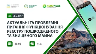 Актуальні та проблемні питання функціонування Реєстру пошкодженого та знищеного майна