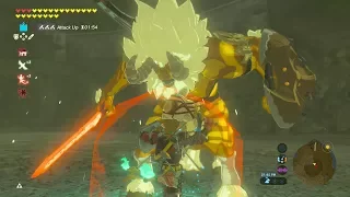 GOLD LYNEL FIGHT NO DAMAGE - Zelda Breath of the Wild