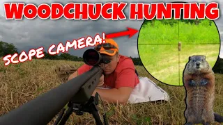 PENNSYLVANIA WOODCHUCK HUNTING! | SCOPE CAMERA!