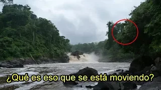 En esta Isla Encontraron Dinosaurios Vivos (Captados en imágenes)