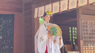 究極の日本美！ここまで心穏やに美しい舞があったのか？巫女さんが幽玄の「浦安の舞」を舞う！ Ultimate Japanese beauty-Shrine Maiden’s Ancient Dance.