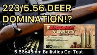 .223/5.56 DEER SLAYERS?! 5.56x45 Barnes Vor-TX TSX 62 & 70gr Ammo Test