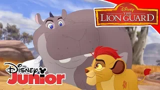 Η Φρουρά των Λιονταριών | Μαγική Στιγμή: Βροχή Φωτιάς🔥 | Disney Junior Ελλάδα
