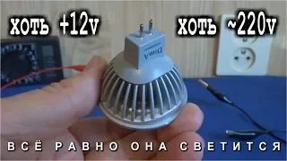 АБСОЛЮТНО АБЫКНАВЕННАЯ ЛАМПОЧКА / Горит и от 220 и от 12 вольт /