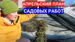 ВАЖНЫЕ РАБОТЫ В АПРЕЛЕ В САДУ И ОГОРОДЕ - ЗАЩИТА ОТ СОЛНЦА, ВСЕ УКРЫТЬ!