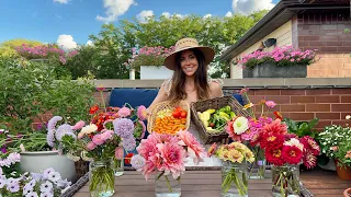 My LARGEST Container Garden Harvest Yet! 🍅🌸 Front & Back Rooftop Deck Garden Harvest