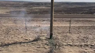 Smokehouse Creek Fire burns family's ranch land, kills livestock in Panhandle