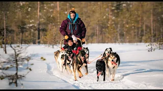 Christmas House Safaris: husky dog excursions in Rovaniemi, Lapland Finland - huskies